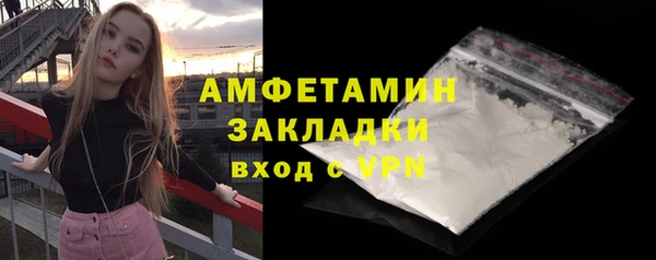 ПСИЛОЦИБИНОВЫЕ ГРИБЫ Заводоуковск