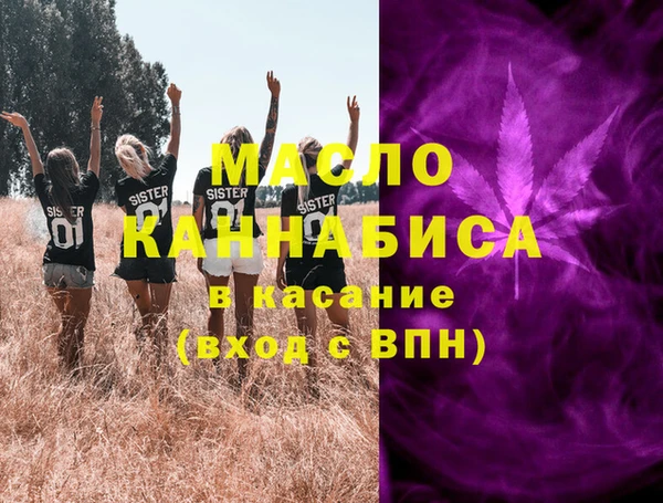 таблы Ельня