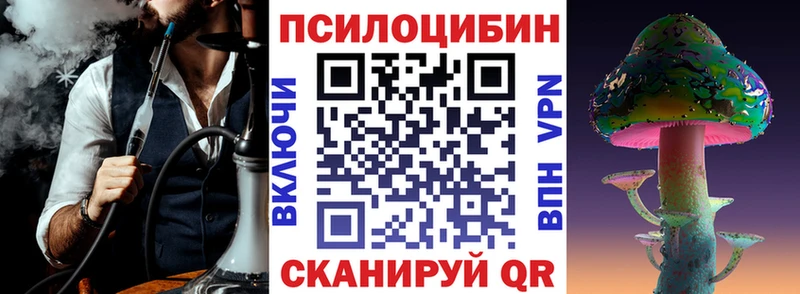 купить наркотики сайты  Заволжье  Псилоцибиновые грибы GOLDEN TEACHER 