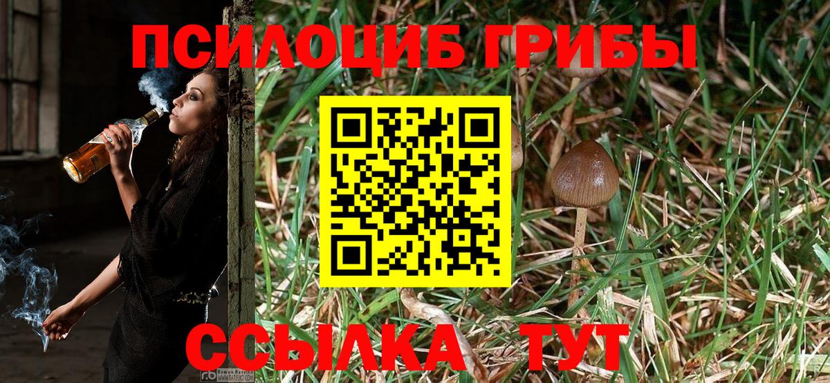 Галлюциногенные грибы мухоморы  Заволжье 